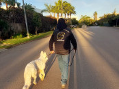 Dog walker à Casablanca et rabat