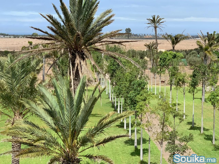 VILLA DE 2 HECTARES RÉGION DE SIDI RAHAL