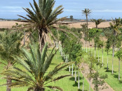 VILLA DE 2 HECTARES RÉGION DE SIDI RAHAL