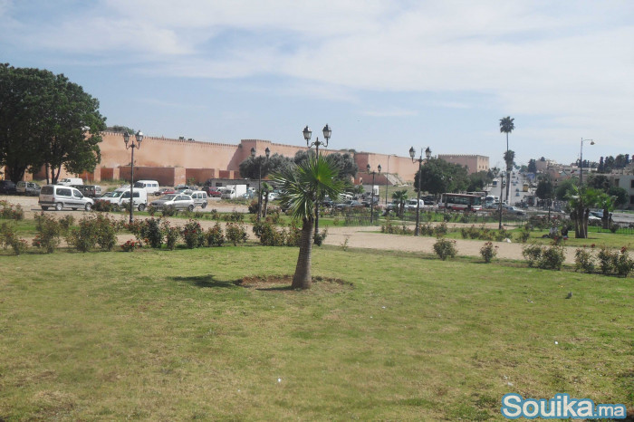 Terrain 2 hectares et 6866 m2 en plein centre vill