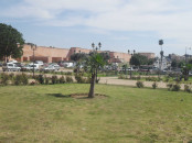 Terrain 2 hectares et 6866 m2 en plein centre vill