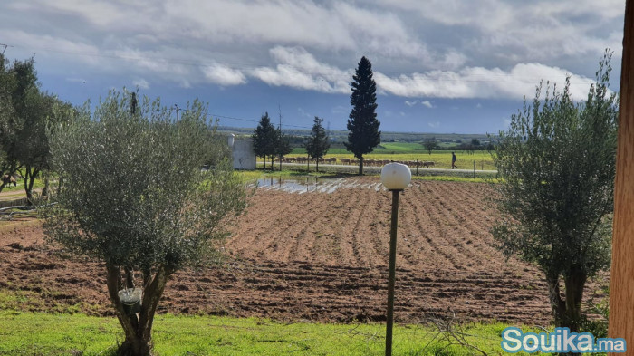 Ferme en vente à Sidi Allal el Bahraoui