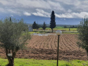 Ferme en vente à Sidi Allal el Bahraoui