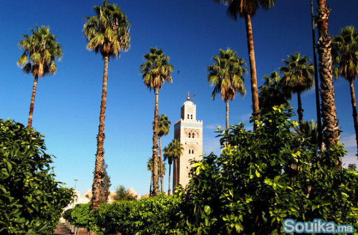 Excursions d'une journée a Marrakech