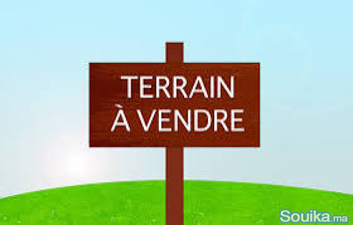 Terrain 4.86 Hectares Pour Lot Villa