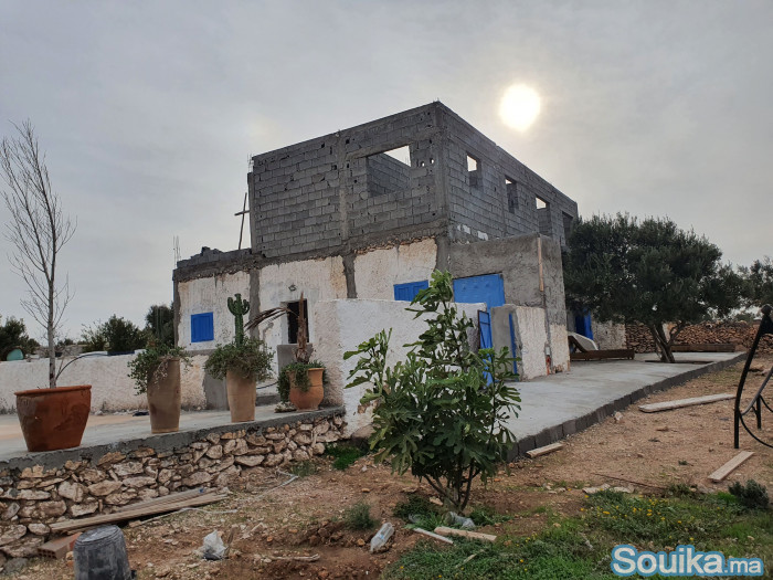 VENTE TERRAIN 10064 M MAISON A HAD DRAA - ESSAOUIR