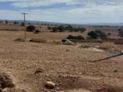 Terrain a saisir à el hanchane