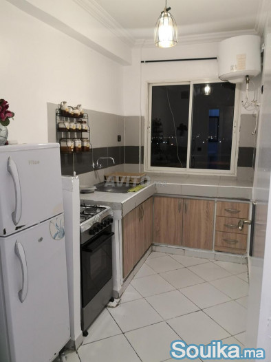 appartement a adrar meublé