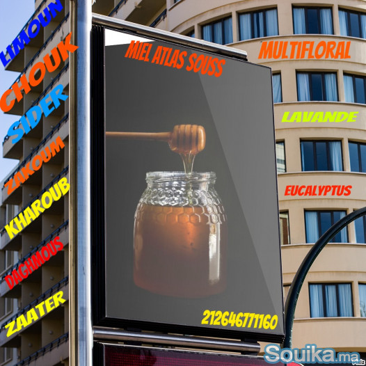 عسل الكالبتوس الحر الاصيل