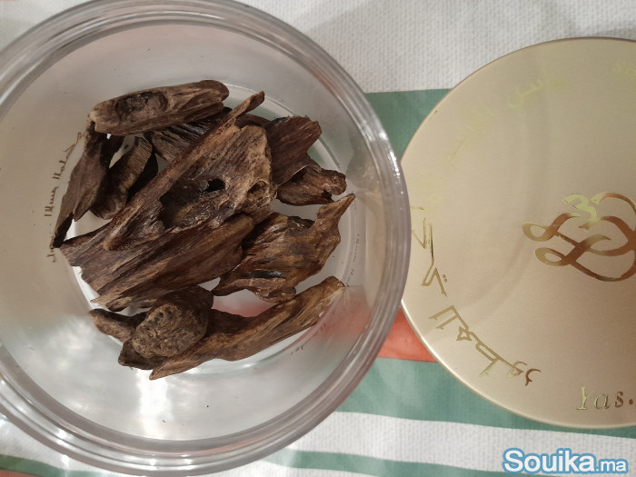 Oud qmari العود القماري