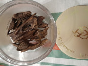 Oud qmari العود القماري