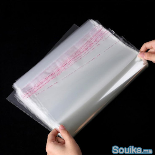 Les sachets en polypropylène P.P.