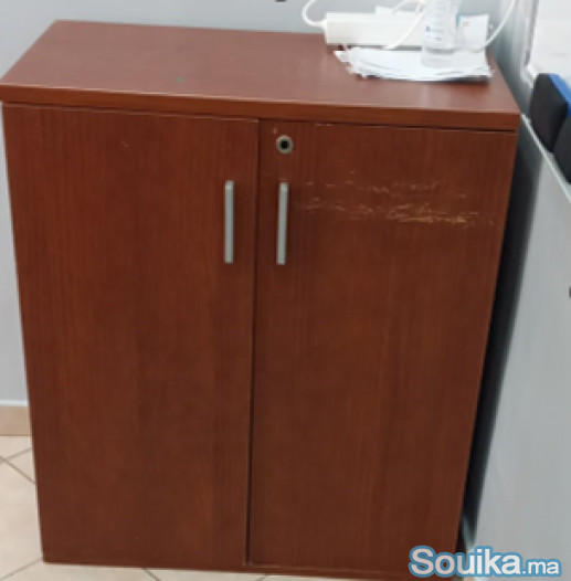 Placard en Bois 2 Portes Compact et Pratique
