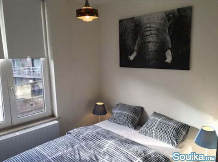 Appartement meublé en location