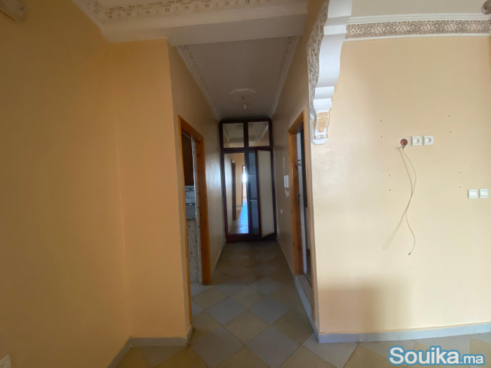 appartement a louer