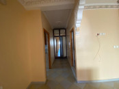 appartement a louer
