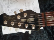 musicman petrucci 7 cordes