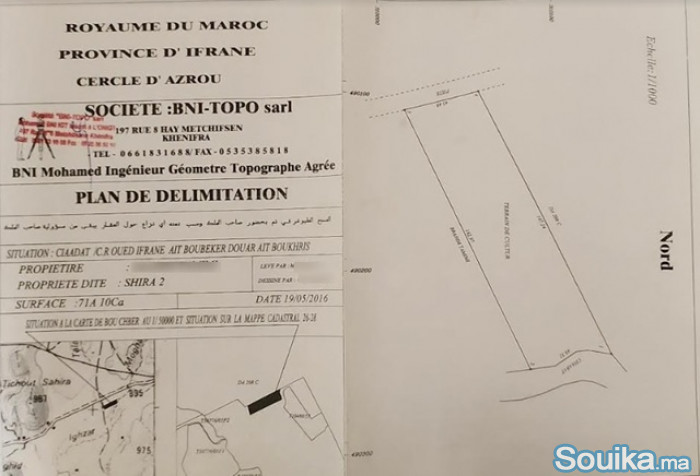 Propriété avec oliviers à vendre à Amghass