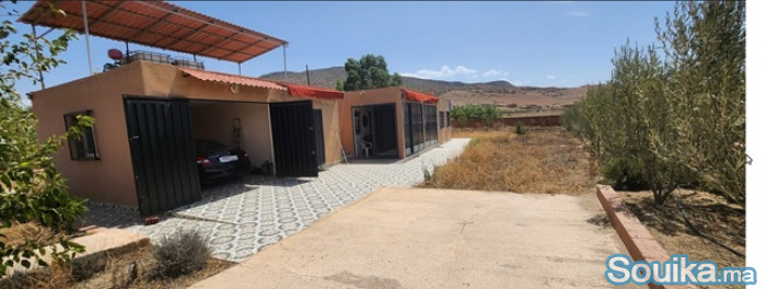 Propriété avec oliviers à vendre à Amghass