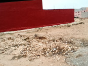 Beau terrain