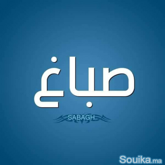 Peintre bâtimentمعلم صباغ