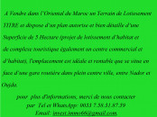 A vendre dun Terrain de Lotissement au Maroc.