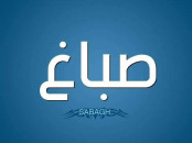 Peintre bâtimentمعلم صباغ