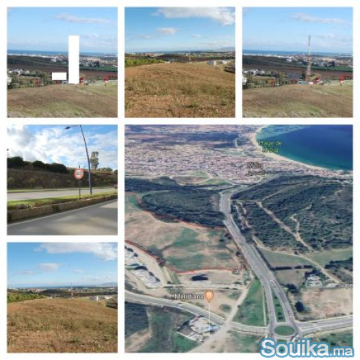 VENTE TERRAIN POUR VILLAS ET HOTEL DE 8HECTARES A