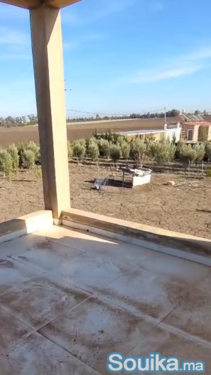 فيرما 1 هكتار للبيع قرب جمعة فضالات