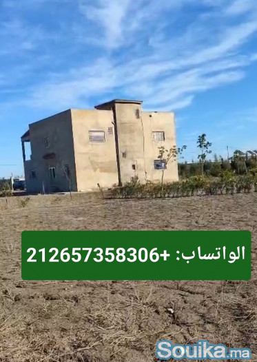 فيرما 1 هكتار للبيع قرب جمعة فضالات