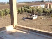 فيرما 1 هكتار للبيع قرب جمعة فضالات