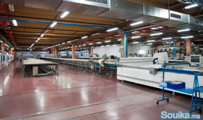 Coupeurse de Tissus Professionnelle Expériment