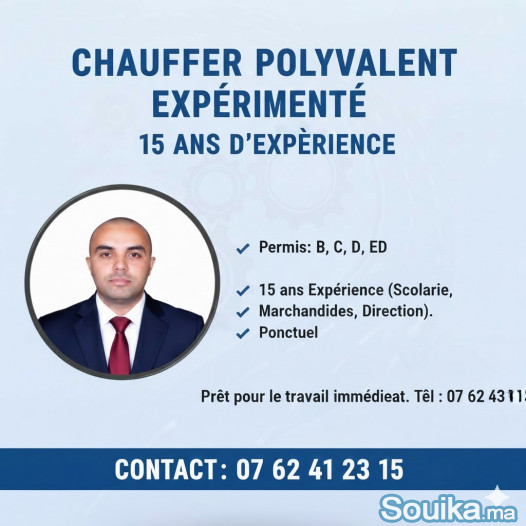 CHAUFFEUR PERMIS B-C-D-ED
