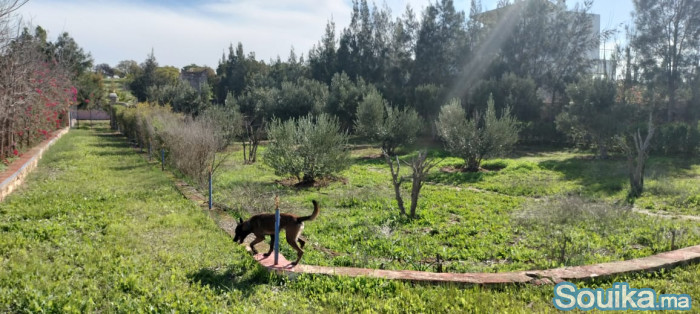 Projet maison d'hôtes ou résidence familiale