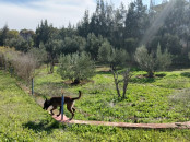 Projet maison d'hôtes ou résidence familiale