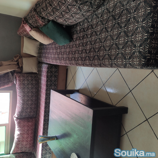 Grand canapé plus housses supplémentaires