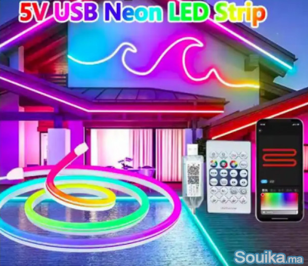 Bande lumineuse néon flexible - 5m