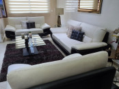 Salon en cuir