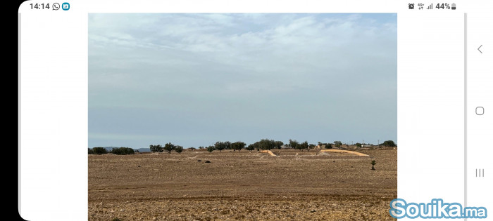 Tres beau terrain titré à 12 KM d'ESSAOUIRA