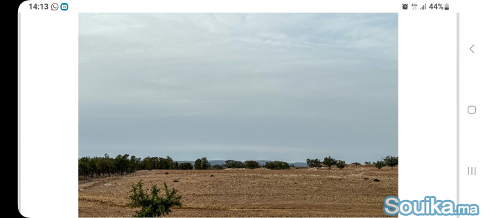 Tres beau terrain titré à 12 KM d'ESSAOUIRA