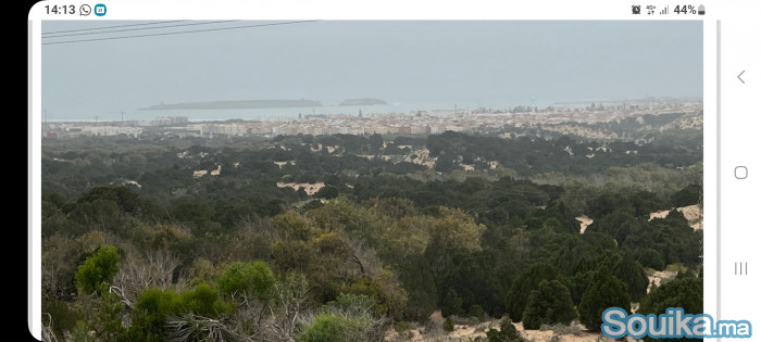 Tres beau terrain titré à 12 KM d'ESSAOUIRA