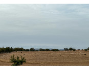 Tres beau terrain titré à 12 KM d'ESSAOUIRA