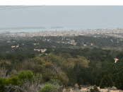Tres beau terrain titré à 12 KM d'ESSAOUIRA