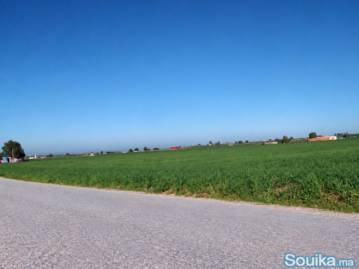 Terrain agricole de 4 hectares à Ben Ahmed