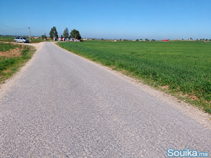 Terrain agricole de 4 hectares à Ben Ahmed