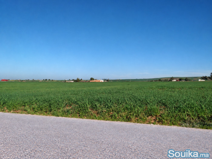 Terrain agricole de 4 hectares à Ben Ahmed
