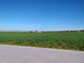 Terrain agricole de 4 hectares à Ben Ahmed